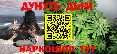 гидропоника Пенза