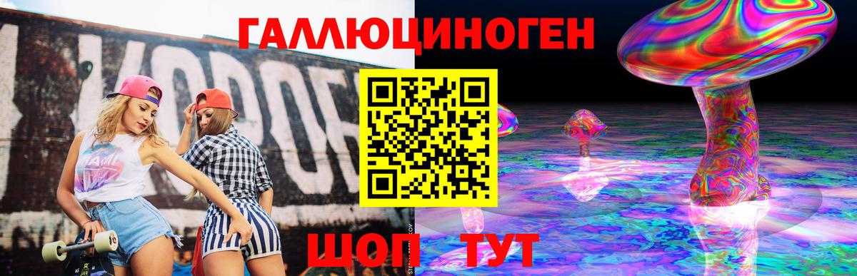 Галлюциногенные грибы Psilocybe Псков